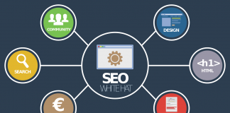 search engine